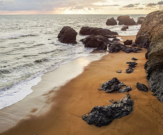 Plage avec mer et rocher