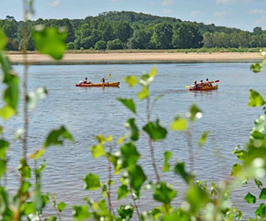 Kayaks sur la Loire et végétation