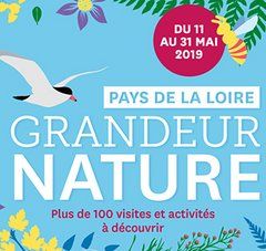 affiche Grandeur Nature dessins de faune et flore