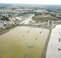 Reserve de Chanteloup